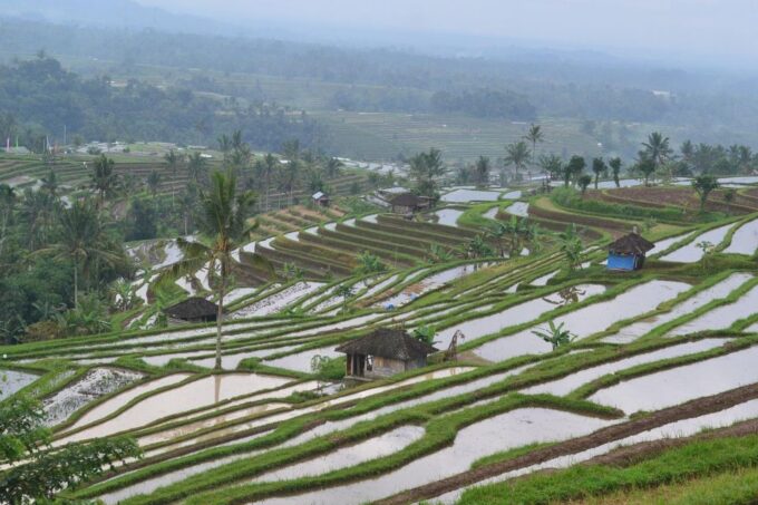The Best 3 Days Package Tours Iconic Bali - Tour Inclusions and Benefits