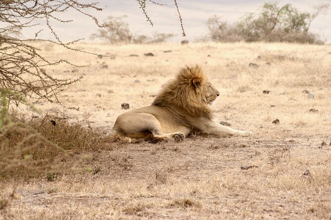 The Best 4 Days Serengeti & Ngorongoro Private Mid-range Safari - Cultural Tour and Activities