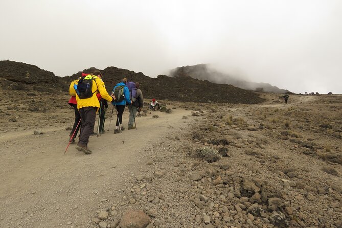 The Best 6-Day Kilimanjaro Hiking Tour via Machame Route - Safety and Precautions