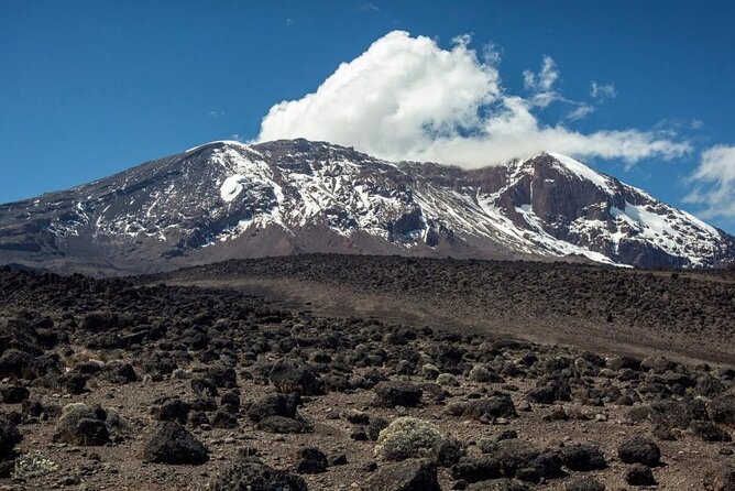 The Best 6-Days Kilimanjaro Hiking (Machame Route)Whiskey Route - Safety and Precautions on Kilimanjaro