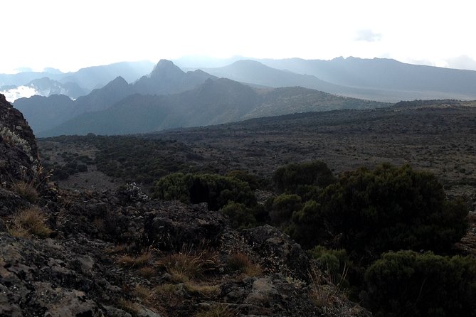 The Best 6-Days Kilimanjaro Hiking (Machame Route)Whiskey Route - Reviews and Testimonials From Past Hikers