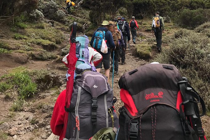 The Best 7 Days Kilimanjaro Hiking Machame Route in  & 2025 - Safety Considerations and Accessibility
