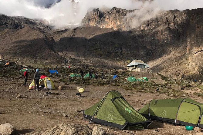 The Best 7 Days Kilimanjaro Hiking Machame Route in  & 2025 - Price and Booking Information
