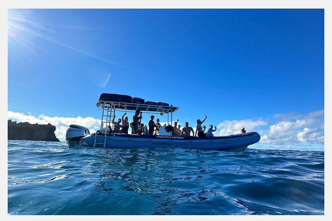 The Best 8 Am 1.5 Hour Whale Watching Tour - Meeting and Pickup Details