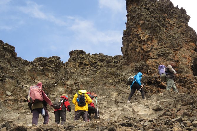 The Best 8 Days Kilimanjaro Climbing via Lemosho Route Package - Booking and Cancellation