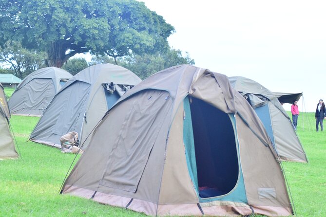 The Best and Most Affordable 4-Day Tanzania Budget Private Safari - Pricing and Guarantees