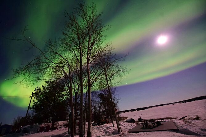 The Best Aurora Tour - Capturing the Celestial Phenomenon