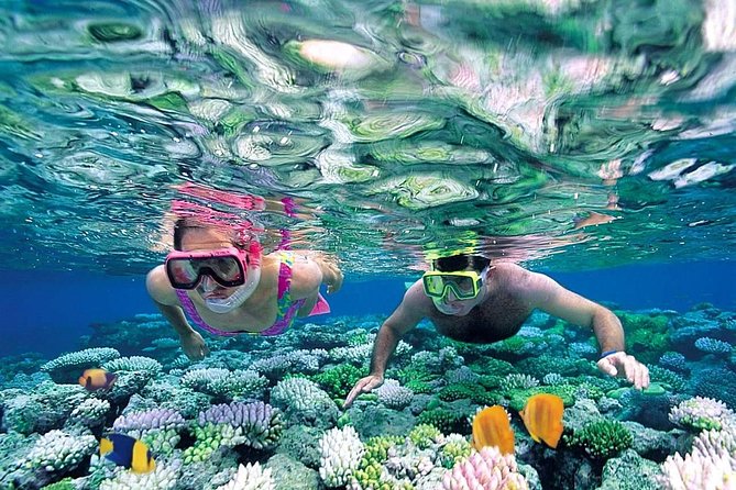 The Best Catamaran Tour to Isla Mujeres From Cancún - Traveler Requirements and Recommendations