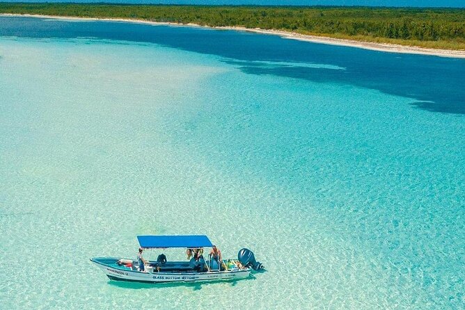The Best Cozumel Snorkeling Tour Palancar, Colombia and El Cielo Reefs - Health and Safety Guidelines