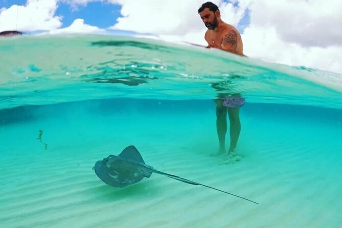 The Best Cozumel Snorkeling Tour Palancar, Colombia and El Cielo Reefs - Positive Experiences