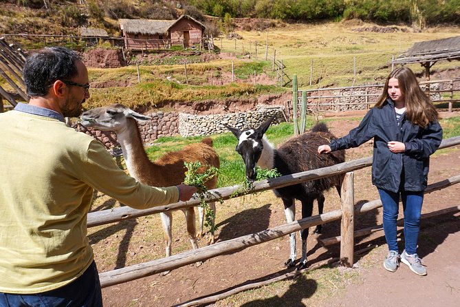 The Best Cusco Tour 4 Days - Private Service - Machu Picchu Experience