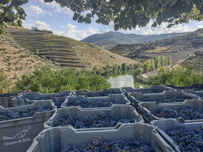 The Best Douro Wine Tour From Porto - Pickup and Drop-off