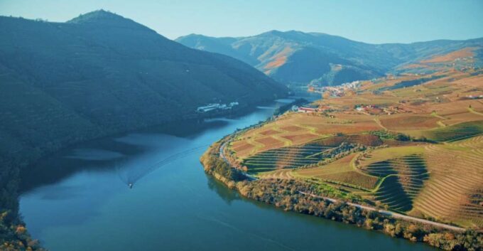 The Best Douro Wine Tour From Porto - Availability and Booking