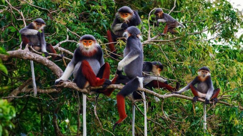 The Best Easy Trek in Cuc Phuong National Park - Transportation and Logistics