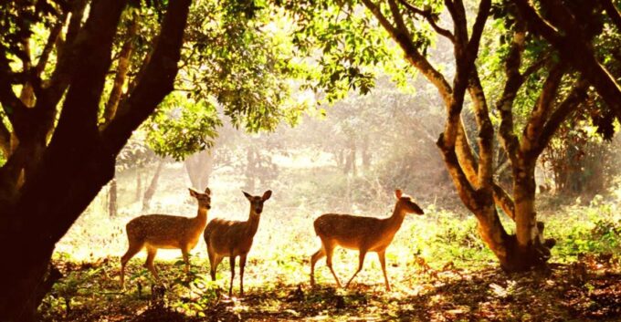 The Best Easy Trek in Cuc Phuong National Park - Frequently Asked Questions