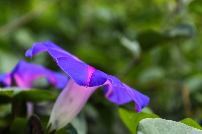 The Best Full Day Combo Tour - Volcanoes, Lake & Mayan Sites - Joya De Cerén Discovery
