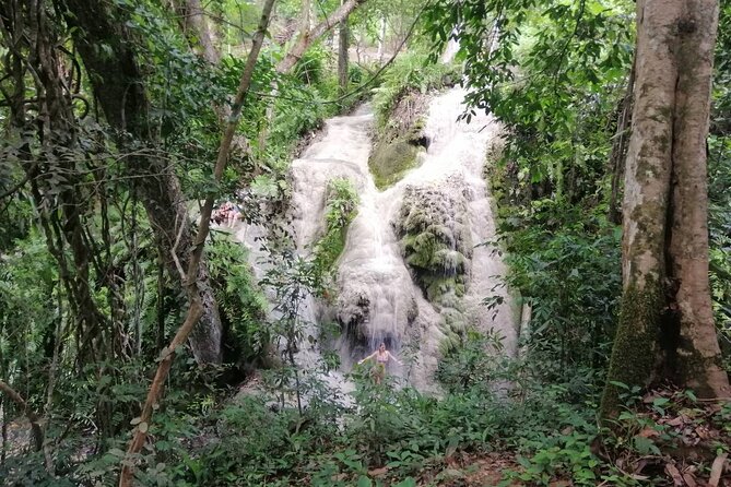 The Best Full Day Tour: Doi Suthep, Wat Phalat, Sticky Waterfall - Health and Safety Information