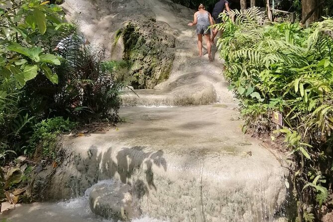 The Best Full Day Tour: Doi Suthep, Wat Phalat, Sticky Waterfall - Traveler Experiences