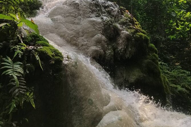 The Best Full Day Tour: Doi Suthep, Wat Phalat, Sticky Waterfall - Exploring Doi Suthep
