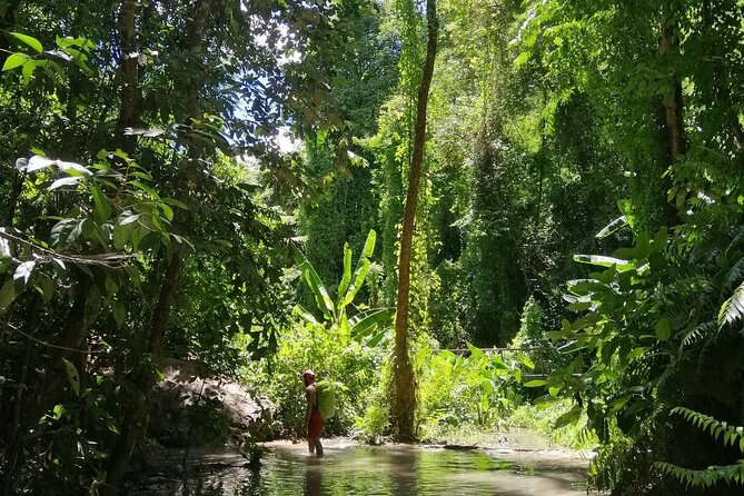 The Best Full Day Tour: Doi Suthep, Wat Phalat, Sticky Waterfall - Discover Sticky Waterfall