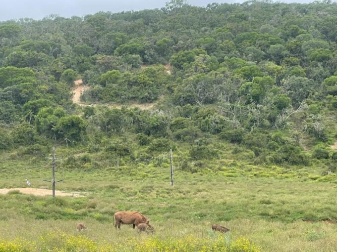 The Best Garden Route Budget Tour - Beer and Wine Tasting