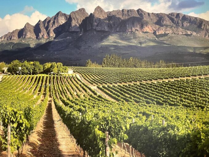 The Best Garden Route Budget Tour - Backpacker Accommodation and Transportation