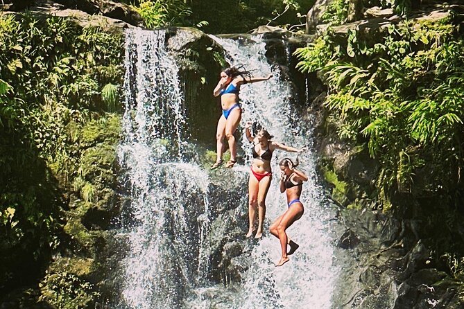 The Best Half Day of Your Life! Luxury Road to Hana Private Tour - Breathtaking Views and Landscapes