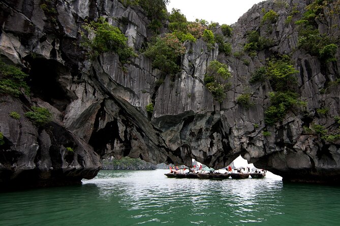 The Best Halong Bay Tours, Junk Boats & Activities 1 Day - Traveler Reviews and Feedback