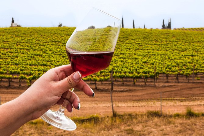 The Best Highlights 7 Day Sicily Tour - Savor the Culinary Delights of Sicily