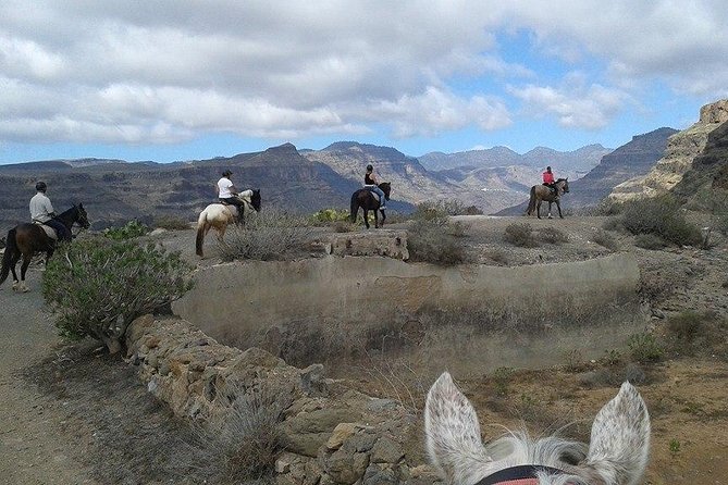The Best Horse Riding Experience in Gran Canaria (1 Hour) - Horseback Riding Experience