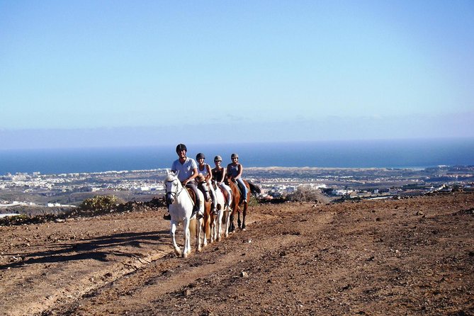 The Best Horse Riding Experience in Gran Canaria (1 Hour) - Maspalomas Sand Dunes