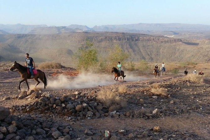 The Best Horse Riding Experience in Gran Canaria (1 Hour) - Small-Group Guarantee