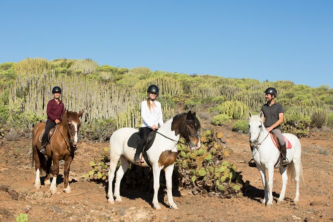The Best Horse Riding Experience in Gran Canaria (2 Hours) - Customization to Ability Levels