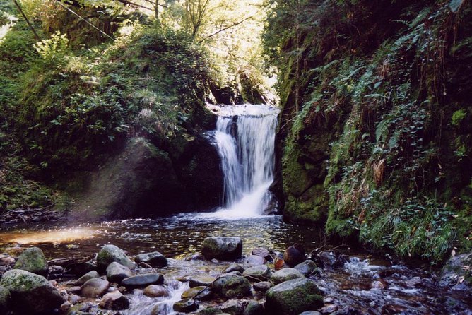 The Best in Baden-Baden Surroundings and Black Forest. Start From Baden-Baden - Tour Experience