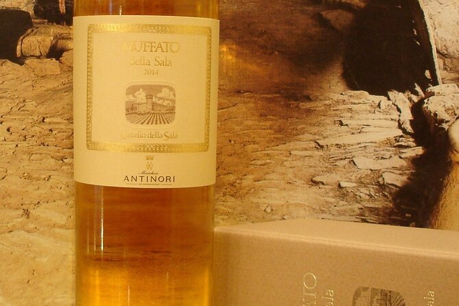 The Best Italian Wines Private Tasting Experience - Exclusive Private Tour