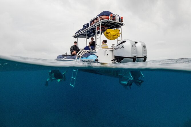 The Best Maui 3 Hour Molokini and Turtle Town Snorkel - Accessibility and Health Considerations