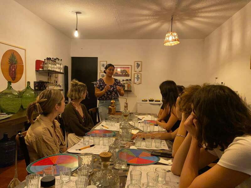 The Best Mezcal Tasting, Mezcal Tasting in Oaxaca - Who Should Sign Up?