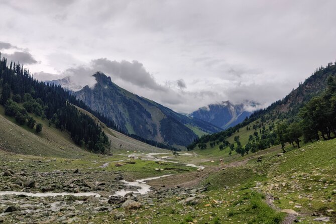The Best Monsoon Trek: Kashmir Great Lakes - Trek Itinerary