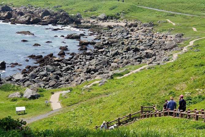 The Best Morning and Michinoku Shiokaze Trail Trekking in the Tanesashi Coast Natural Grassland - Service Animals Allowed