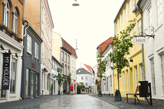 The Best of Aalborg Walking Tour - Inclusions