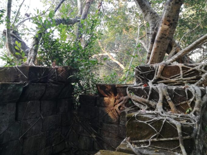 The Best of Angkor Temples 2 Day Private Tour - Value for Money