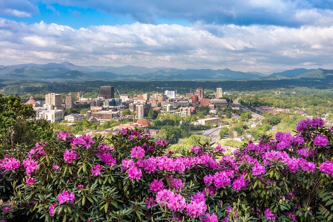 The Best of Asheville: Private 2.5-hour Walking Tour - Sampling Local Craft Brews