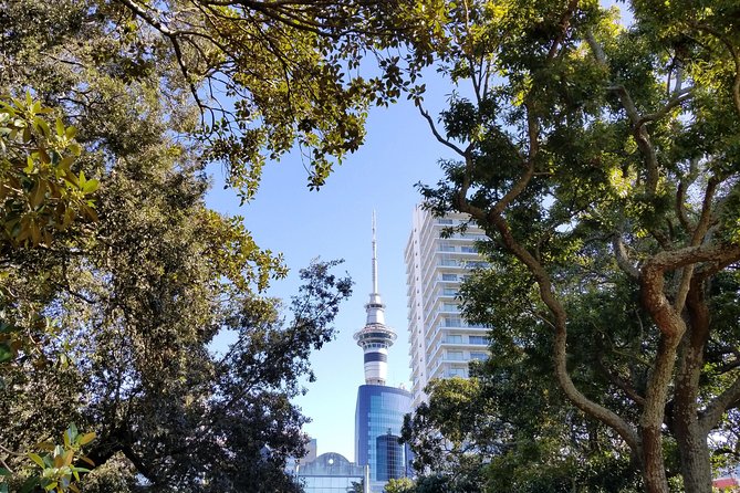 The Best of Auckland City Walking Tour - Navigating the City on Foot