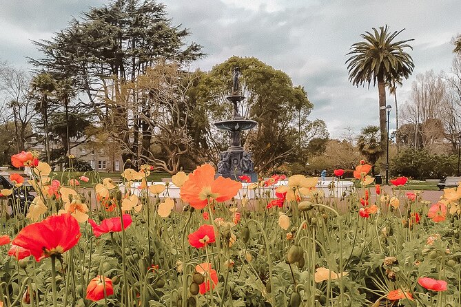 The Best of Auckland Walking Tour - Getting the Most From the Experience