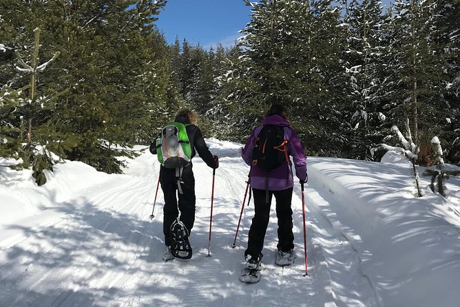 The Best of Bansko: Magical Snowshoeing Adventure & SPA - Group Size and Pricing