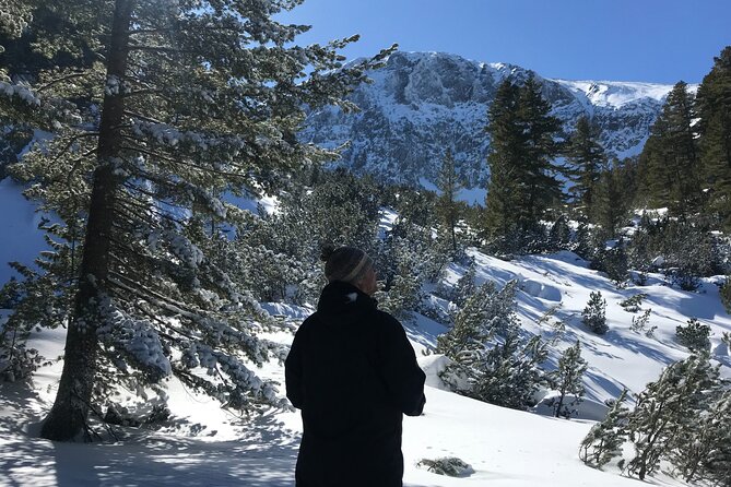 The Best of Bansko: Magical Snowshoeing Adventure & SPA - Included Amenities