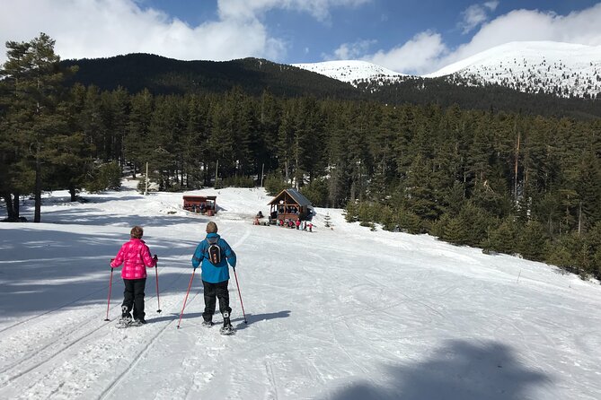 The Best of Bansko: Magical Snowshoeing Adventure & SPA - Traveler Reviews and Feedback
