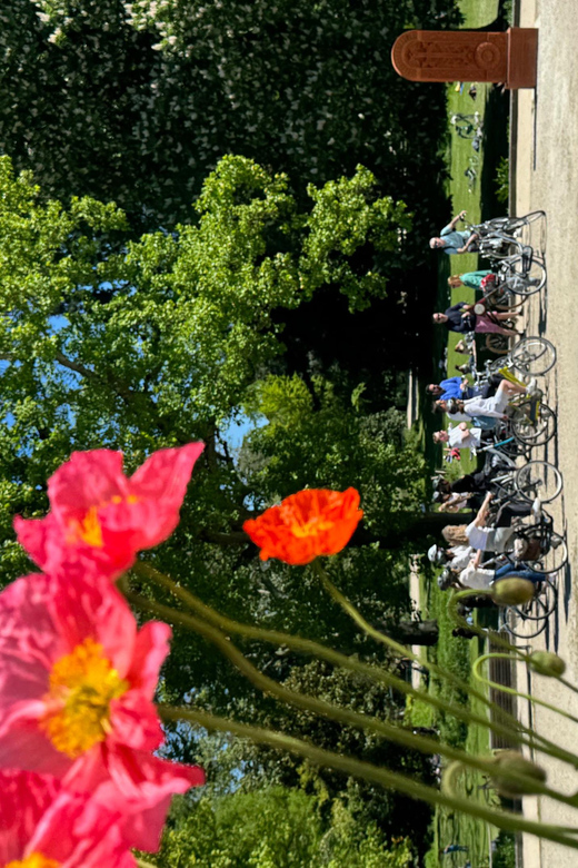 The Best of Bordeaux: E-Bike Tour With Pétanque & Appetizers - Cultural Insights