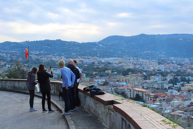 The Best of Campania in 2 Days: Amalfi Coast, Pompeii, Herculaneum & Vesuvius - Uncovering Herculaneums Treasures
