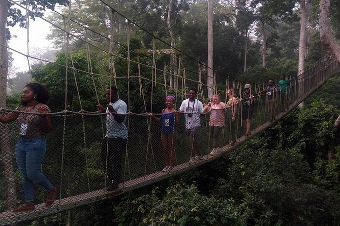 The Best Of Cape Coast Tour - Highlights and Ratings